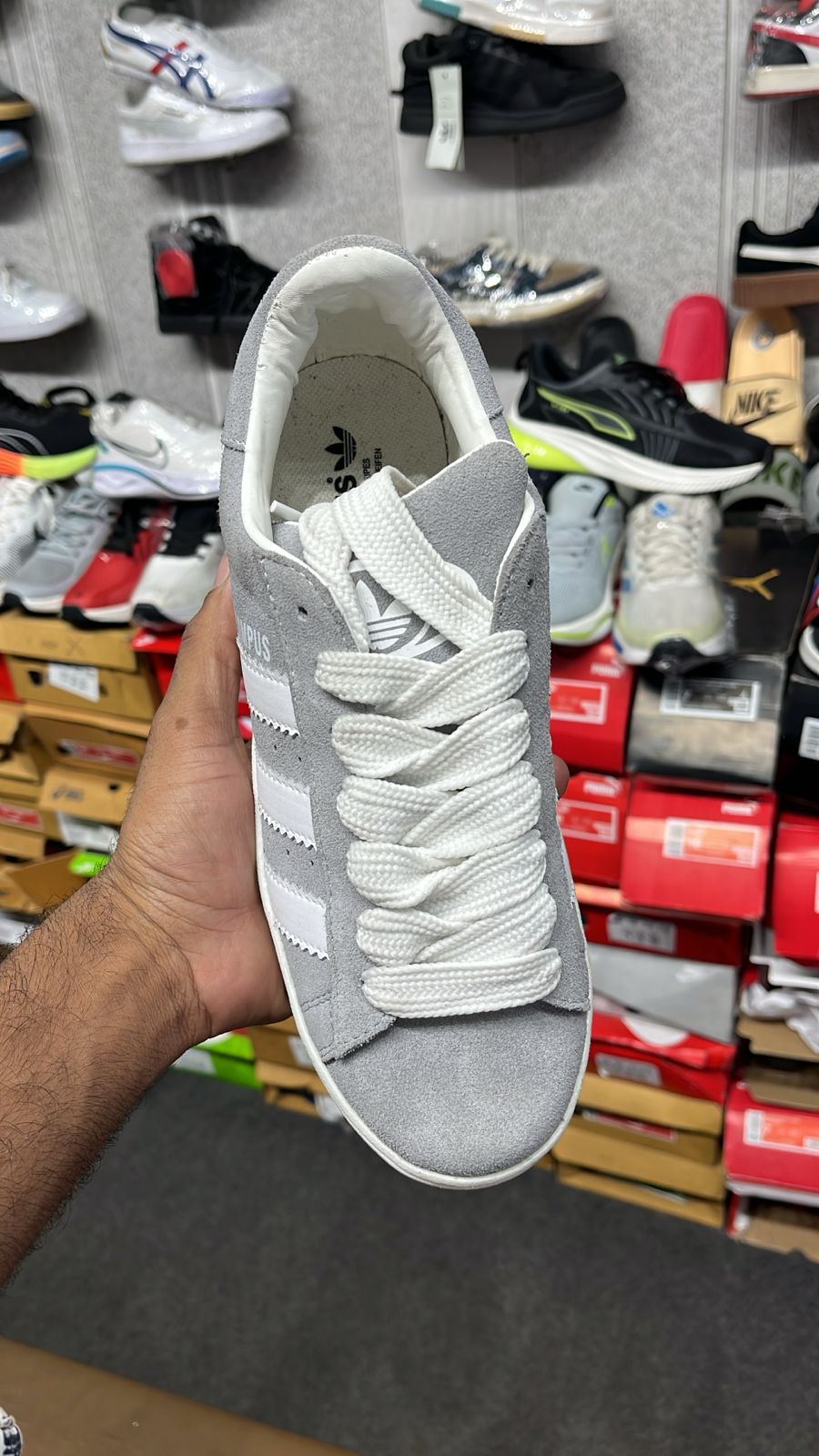 Adidas Campus - Grey